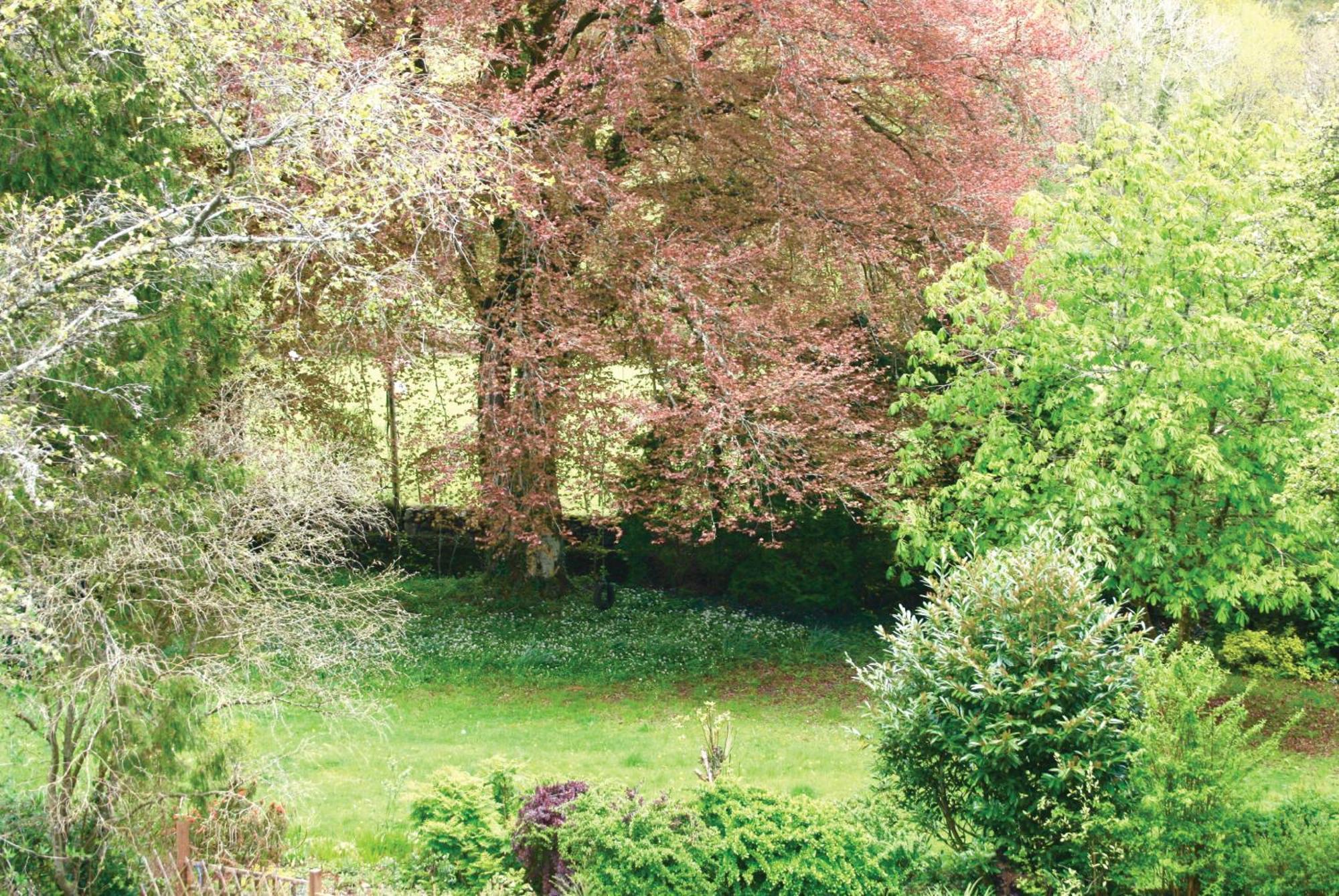 Afon Rhaiadr Country House Dolgellau Ngoại thất bức ảnh